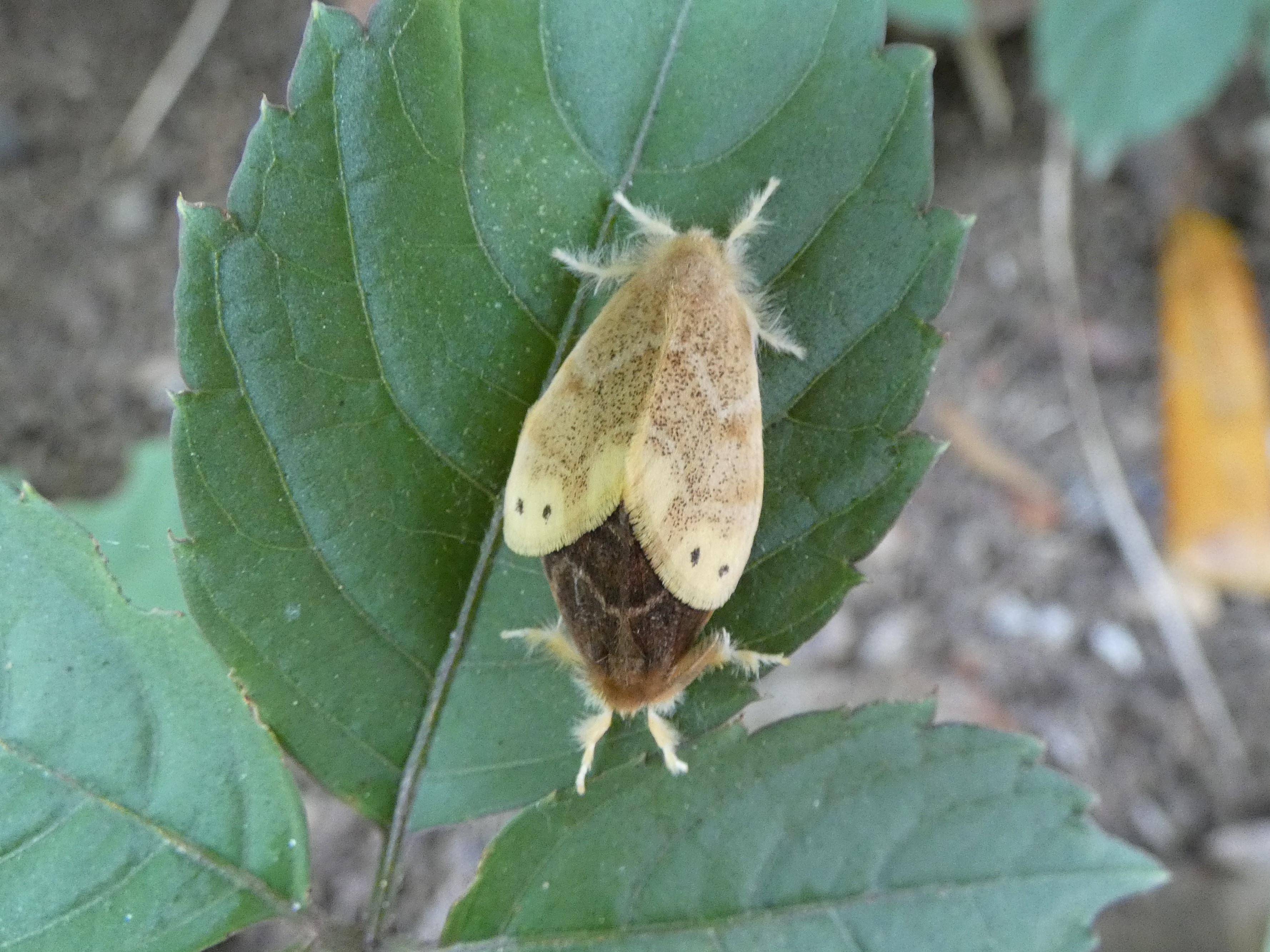 photo_6